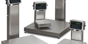 Electronic Food Scale