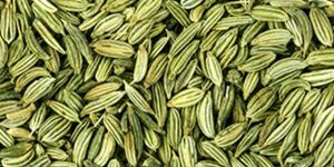 Fennel Seeds