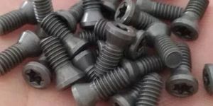 Hexagonal Torx Screw