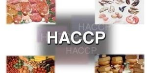 Haccp System Certification