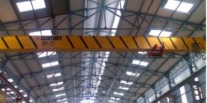 Industrial Cranes