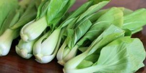 Lettuce Bok Choy