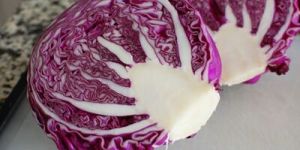 Red Cabbage