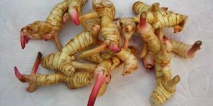 Thai Galangal