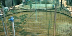 Biofloc Fish Farming Tank