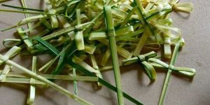 Palm Leaf Cross