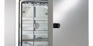 Stainless Steel Chamber Oven