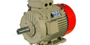 Kirloskar Electric Motor