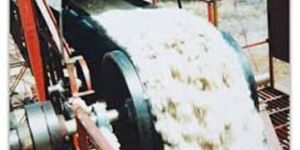Bagasse Belt Conveyor