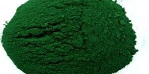 Spirulina Powder