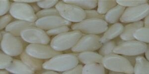 Hulled Sesame Seed
