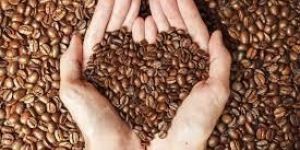 Roasted Coffee Beans