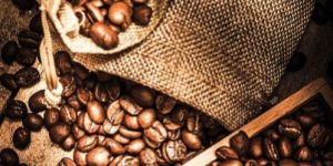 Arabica Coffee Beans