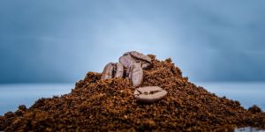 Filter Coffee Powder