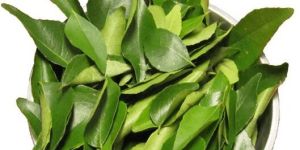 Curry Leaves