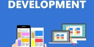 News Website Development Services