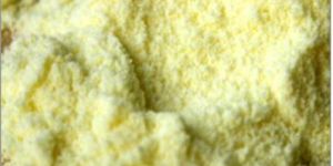 Whole Milk Powder