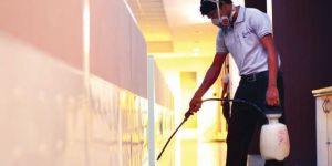 Pest Control Services