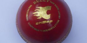 Leather Cricket Balls