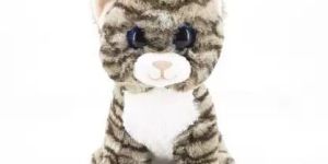 Cat Soft Toy