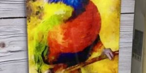 Acrylic Photo Printing