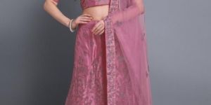 Net Embroidered Lehenga