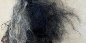 Double Drawn Human Hair Wig