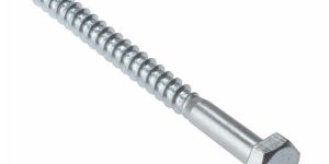 Coach Screw