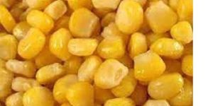 Sweet Corn