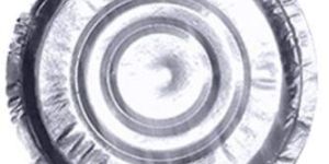 Disposable Paper Thali