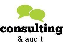 Consulting and Auditing Services