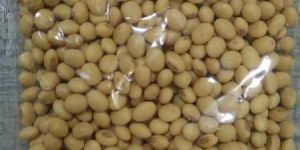 Soybean Seeds