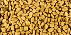 Fenugreek Seed