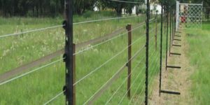 Agriculture Solar Fencing