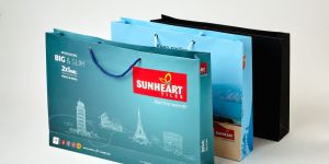 packaging/paper bag/Pvc printing/Gift paper bag/Carry bag/Promotional bag/Paper shopping bag/Recycle