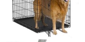 Dog Cage