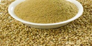 Coriander Powder