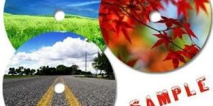 CD DVD Stickers Labels