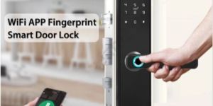 Wifi Smart Biometric Doorlock