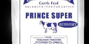 Prince Super Economy Cattle Feed
