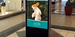 Standalone Digital Signage Standee