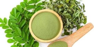 Moringa Powder