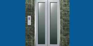 Stainless Steel Automatic Elevator Door