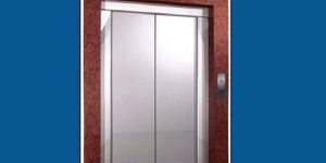Auto Door Passenger Elevator