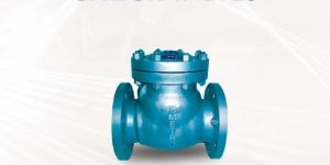 Check Valve