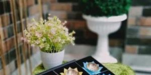 Brass Fancy Diya Set