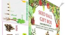 Moringa Seed