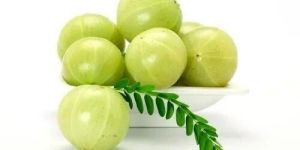Fresh Green Amla