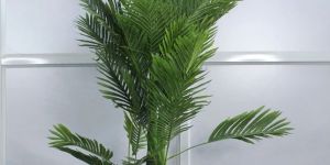 Artificial Palm Tree
