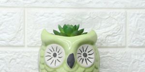 Ceramic Planters
